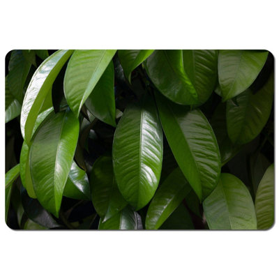 Andrew Lee Closeup Of Beautiful Glossy Green Leaves (Placemat) / Default Title from B&Q