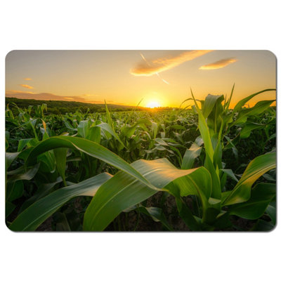 Andrew Lee Young Green Corn Growing On The Field At Sunset (Placemat) (Placemat) / Default Title from B&Q