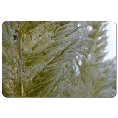 Andrew Lee Autumn Pampas Grass Close Up (Placemat) / Default Title from B&Q