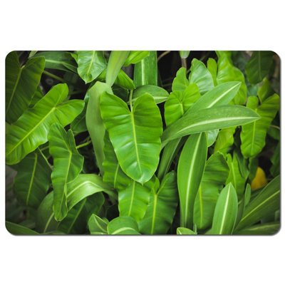 Andrew Lee Abstract Background Of Dark Green Leaves (Placemat) / Default Title from B&Q