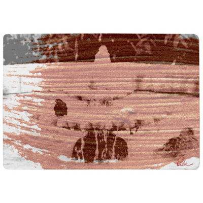 Benjamin Tate Design Bird Bath Special Soft Home Rug from B&Q
