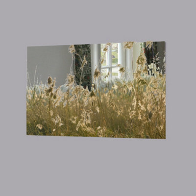 Andrew Lee Pampus Grass Plumes Slimbridge (Mirror Art Print) / 93X71Cm from B&Q
