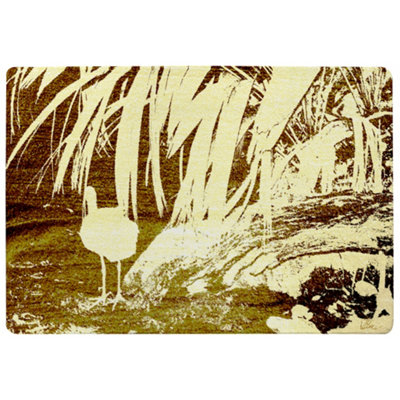 Benjamin Tate Design Pretty Bird Special Soft Home Rug from B&Q