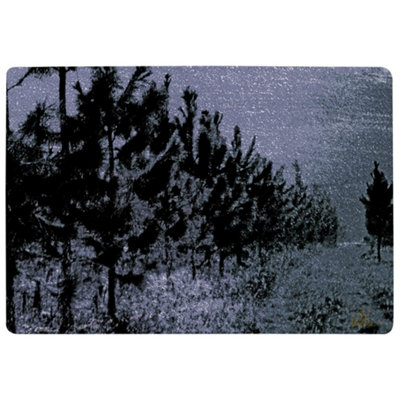 Benjamin Tate Design Star Tree Line Special Soft Home Rug from B&Q