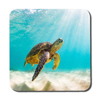 Andrew Lee Photo Of Sea Turtle In The Galapagos Island (Coaster) / Default Title from B&Q