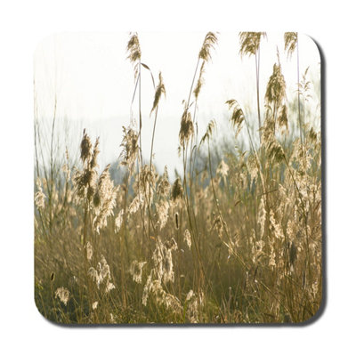 Andrew Lee Pampus Grass Plumes Slimbridge (Coaster) / Default Title from B&Q