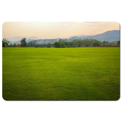 Andrew Lee Background Image Of Lush Grass Field (Placemat) / Default Title from B&Q