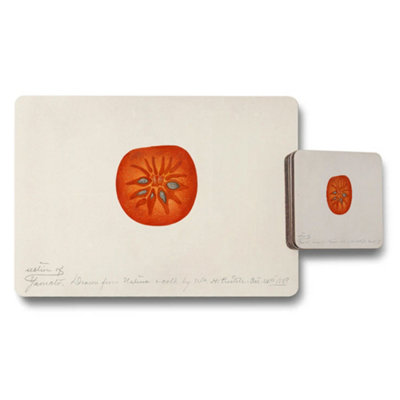 B&Q -  Tomato Slice Art Placemat And Coaster Set For Dining Table