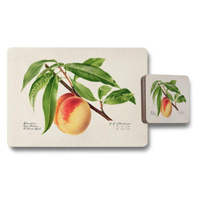 B&Q -  Peach Botanical Placemats And Coaster Set Vintage Illustration
