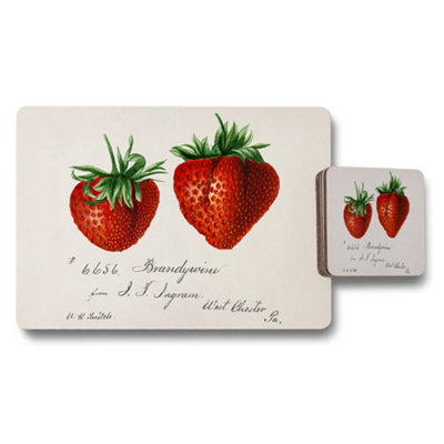 B&Q -  Vintage Strawberry Placemats And Coaster Set With Retro Design