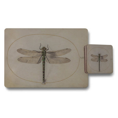 B&Q -  Dragonfly Placemats And Coaster Set Vintage Botanical Illustration