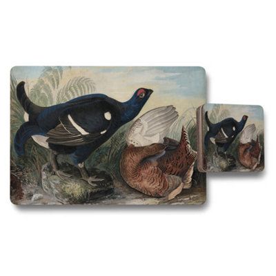 B&Q -  Duck Themed Placemats And Coasters Set With Vintage Artwork
