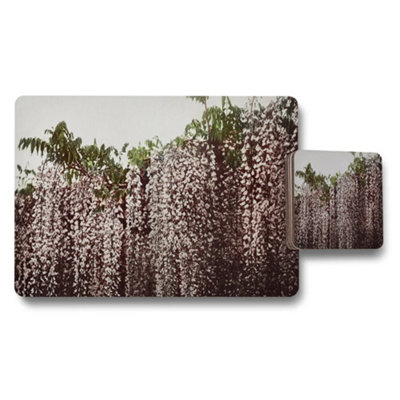 Benjamin Tate Design Wisteria Bloom Placemat And Coaster Set With Floral Design from B&Q
