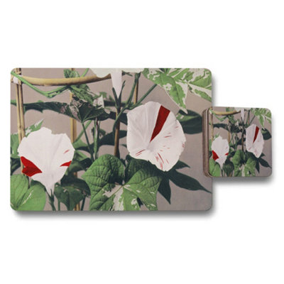 B&Q -  Floral Morning Glory Placemat And Coaster Set With Green Leaves