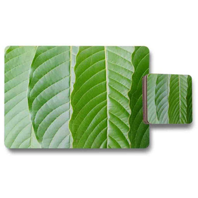 Benjamin Tate Design Exclusive Leaf Vein Placemat And Coaster Set In Designer Artwork With Wood Bottom from B&Q