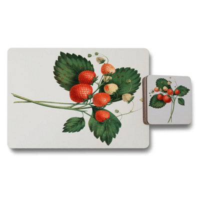 B&Q -  Placemat Coaster Set Botanical Print Collection With Wood Bottom Exclusive Limited Edition