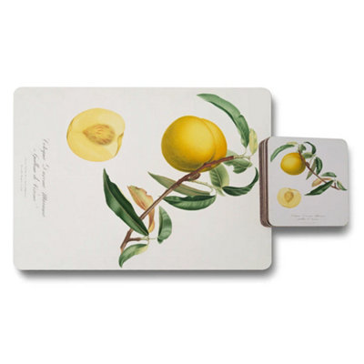B&Q -  Botanical Artisanal Fruit Print Placemat And Coaster Set With Wood Bottom Limited Edition