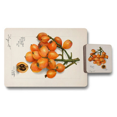 B&Q -  Placemat Coaster Set Giclee Botanical Artwork On Wood Bottom Limited Edition Exquisite