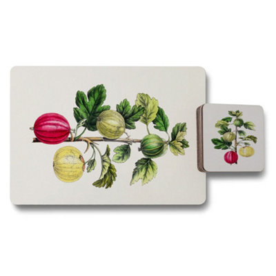 B&Q -  Botanical Placemat Coaster SetWood BaseDesigner Artwork CollectionLimited Edition