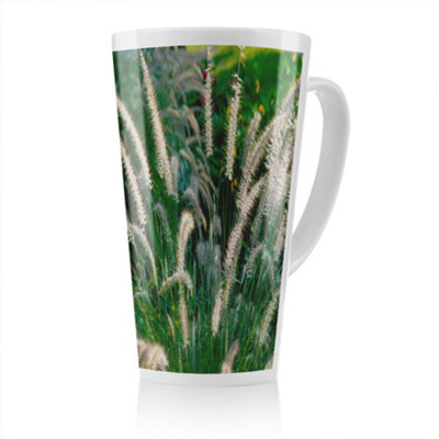 Benjamin Tate Design Decorative Cat Tail Grass Growing Along A Walkway Designer Latte Mug from B&Q