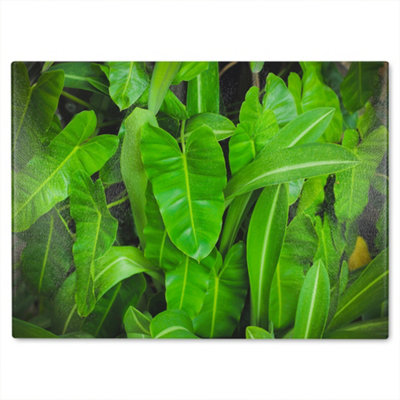 B&Q -  Abstract Background Of Dark Green Leaves Designer Glass Chopping Board Designer Style