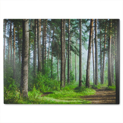 B&Q -  Beautiful Summer Forest With Different Trees Designer Glass Chopping Board