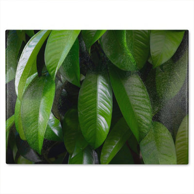 B&Q -  Closeup Of Beautiful Glossy Green Leaves Designer Glass Chopping Board Designer Style