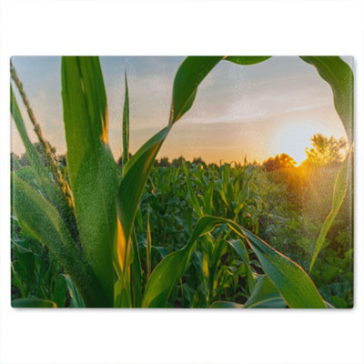 Benjamin Tate Design Corn And Sun Close Up Designer Glass Chopping Board from B&Q