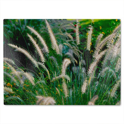 Benjamin Tate Design Decorative Cat Tail Grass Growing Along A Walkway Designer Glass Chopping Board from B&Q