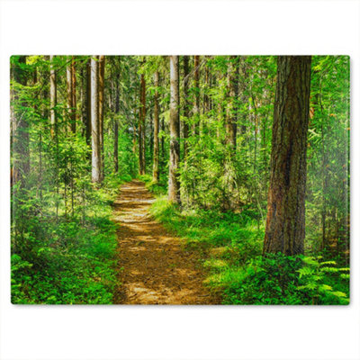 B&Q -  Woodland Path Designer Glass Chopping Board Designer Style