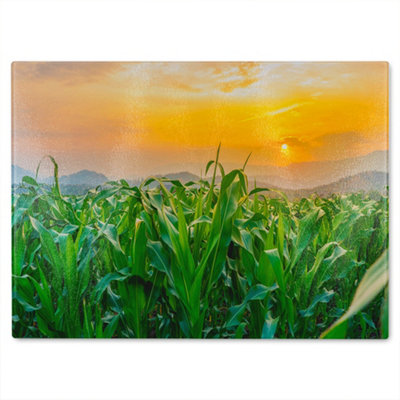 Benjamin Tate Design Green Corn Field In Agricultural Sun Designer Glass Chopping Board from B&Q
