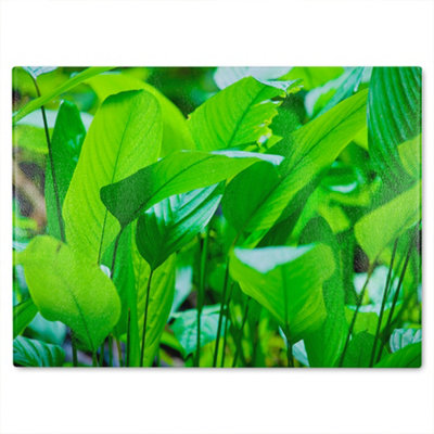 Benjamin Tate Design Green Leaf Background Abstract Of Nature Designer Glass Chopping Board Designer Style