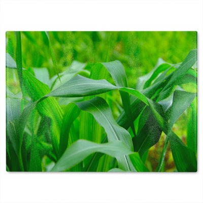 Benjamin Tate Design Green Leaves Corn Fields As Background Designer Glass Chopping Board from B&Q