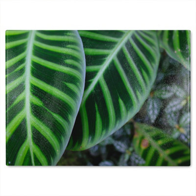 Benjamin Tate Design Yellow Structure In Exotic Jungle Ting Designer Glass Chopping Board from B&Q