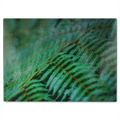 B&Q -  Green Leaves Pattern And Texture At Indonesia Designer Glass Chopping Board