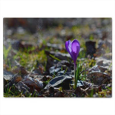 B&Q -  Autumn Flower Bloom In Nature Designer Glass Chopping Board Designer Style