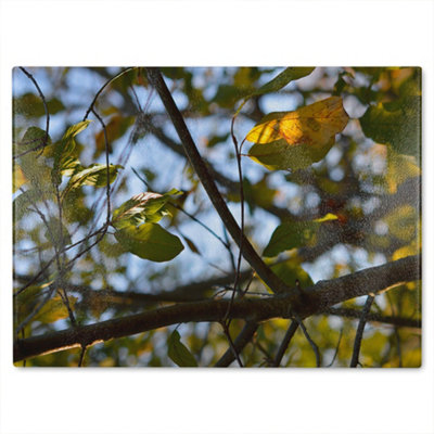 B&Q -  Leaves And Branches Designer Glass Chopping Board Designer Style