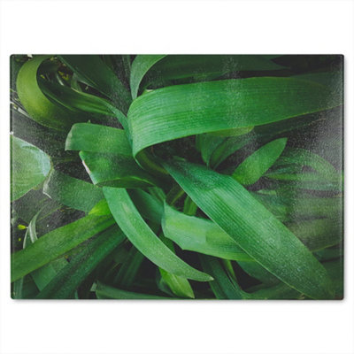 B&Q -  Atmospheric BackgroundSelective Focus Designer Glass Chopping Board Designer Style