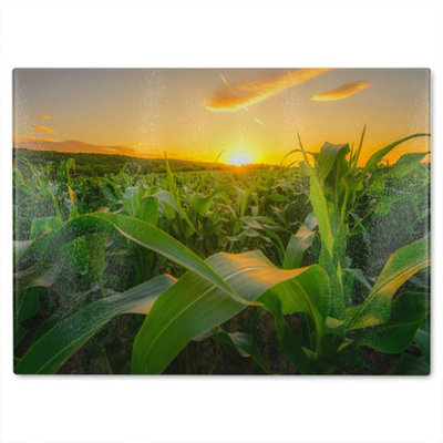 B&Q -  Field At Sun Designer Glass Chopping Board  Designer Glass Chopping Board Designer Style
