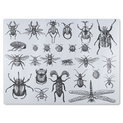 Benjamin Tate Design Fleas Many Species In Vintage Old Hand Drawn Style Designer Glass Chopping Board from B&Q