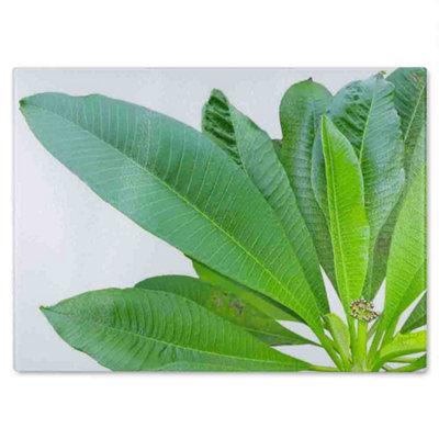 B&Q -  Collection Of Green Leaves On White Glass Chopping Boarddesigner Style