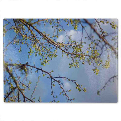 Benjamin Tate Design Tree Branches Sky Glass Chopping Boarddesigner Style