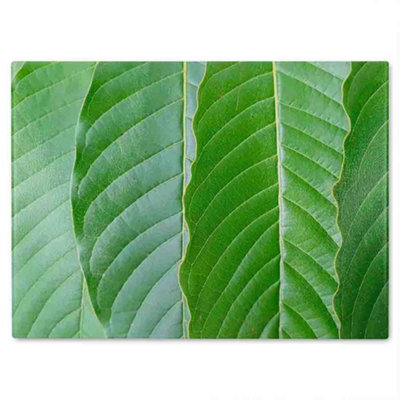 B&Q -  Close Up Of Green Leaves Glass Chopping Boarddesigner Style