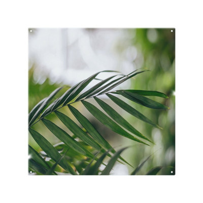 Benjamin Tate Design Closeup Of Green Palm Leaf Designer Splash Back Designer Style from B&Q