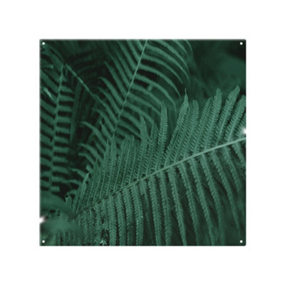 Benjamin Tate Design Plants Background. Biophilia Trend Designer Splash Back Designer Style from B&Q