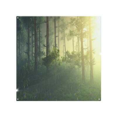 Benjamin Tate Design SunTrees In A Haze Of LightGlowing Fog Among The Trees Designer Splash Back Designer Style from B&Q