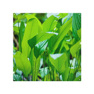 Benjamin Tate Design Green Leaf Background Abstract Of Nature Designer Splash Back Designer Style from B&Q