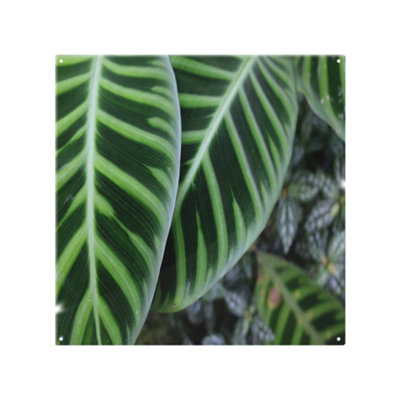 Benjamin Tate Design Yellow Structure In Exotic Jungle Ting Designer Splash Back Designer Style from B&Q