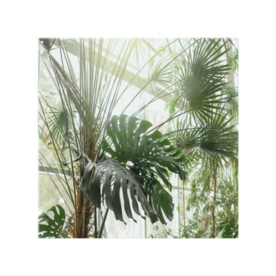 Benjamin Tate Design Green Plants In Botanical Garde Designer Splash Back Designer Style from B&Q