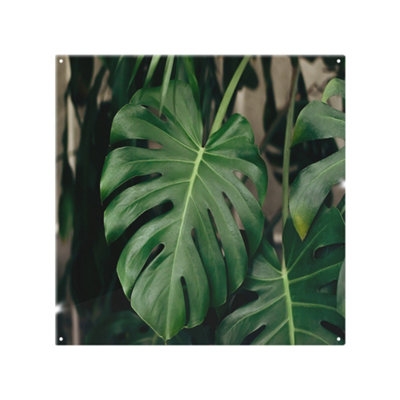 Benjamin Tate Design Monstera Leaves In Home Interior Designer Splash Back Designer Style from B&Q